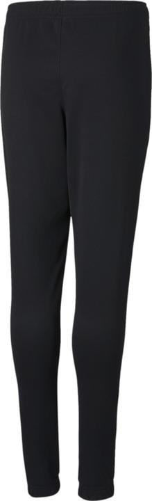 Actual product image Puma teamRISE Poly Training Pants JR (164)