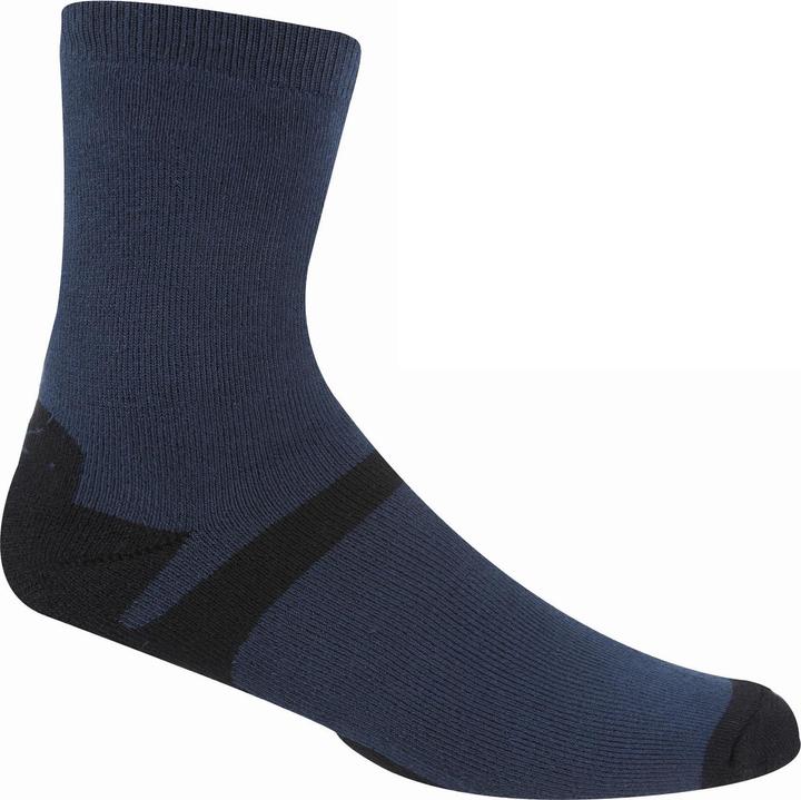 Actual product image Regatta UTRG6042 P (pack of 3, 39.5 - 42)