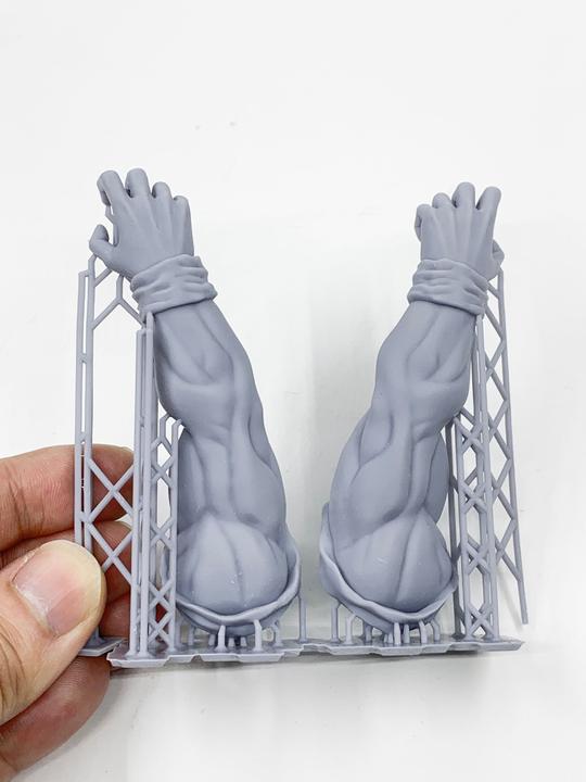 Actual product image FlashForge 3d printer Foto 8.9 LCD Mono