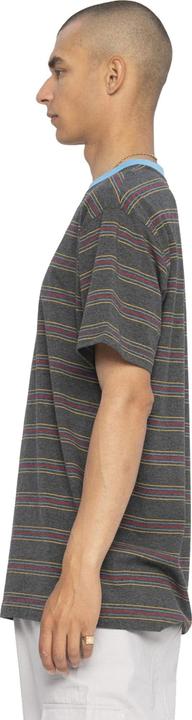 Actual product image Santa Cruz Classic Strip Stripe T-Shirt (S)