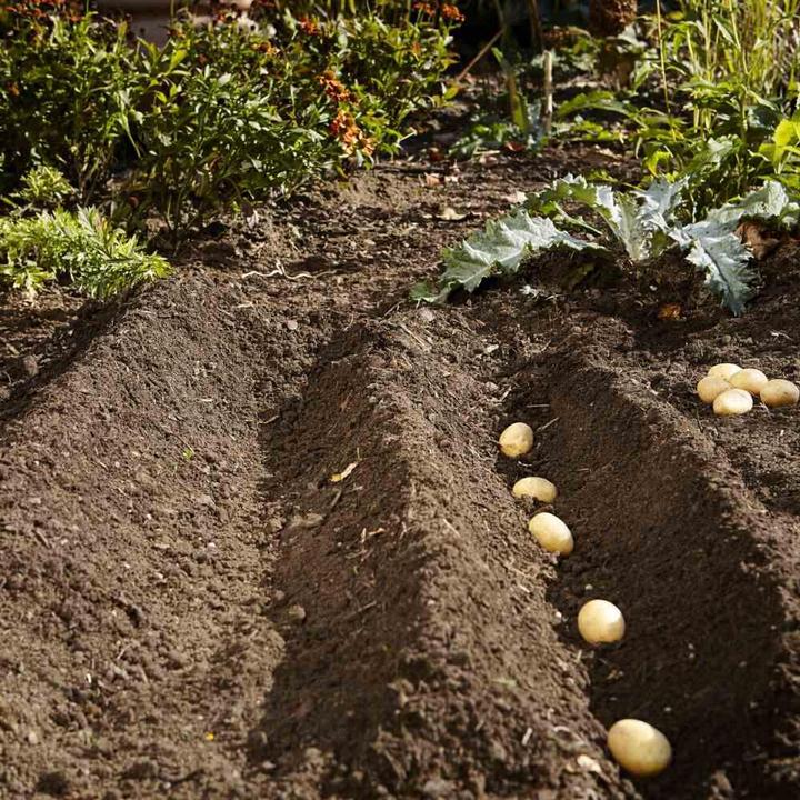 Actual product image Gardena Gardino