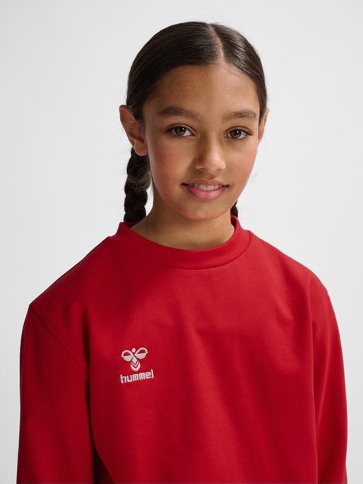 Actual product image hummel Hmlgo 2.0 Sweatshirt Kids (116)