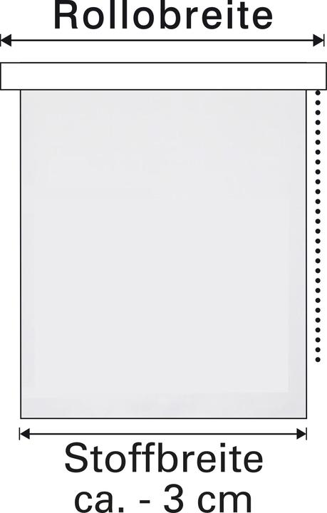 Produktbild Gardinia EASYFIX Rollo Digiprint Weidenkätzchen (50 x 150 cm)