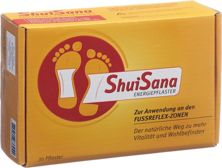 Piniol Energiepflaster (30 x)