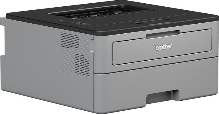 Actual product image Brother HL-L2310D (Laser, Black and white)