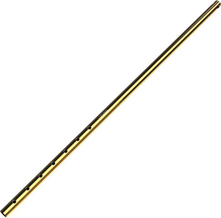 Actual product image Lockink Verstellbarer Analkaken gold