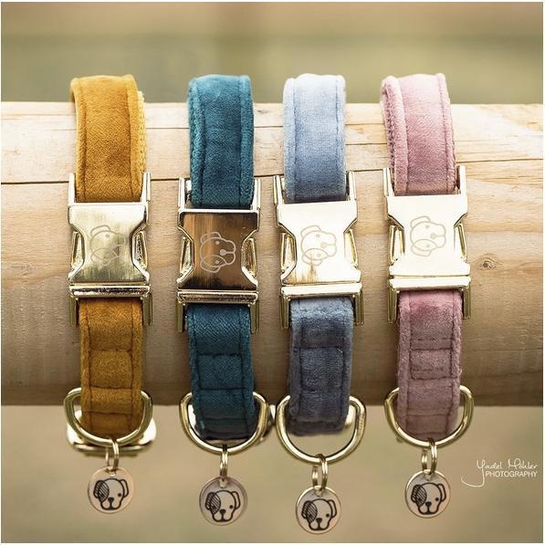 Produktbild Kentucky Dogwear Hundehalsband velvet (L, Hund, Hundesport)