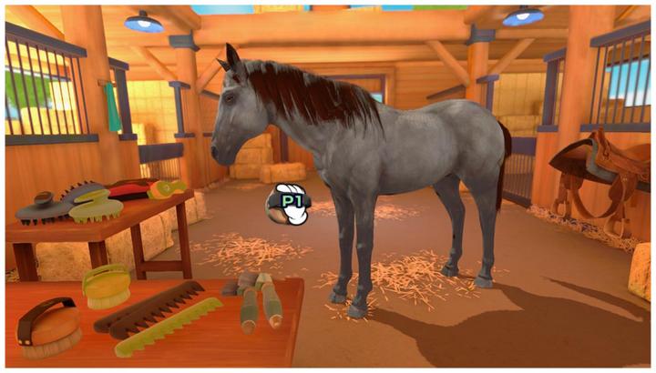 Produktbild Microids Equestrian Training (PS4, EN)
