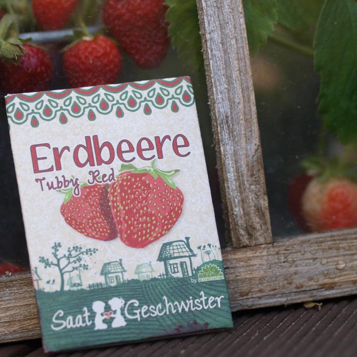Produktbild Saatgeschwister Minigarten Erdbeere (rot) (Früchtesamen)