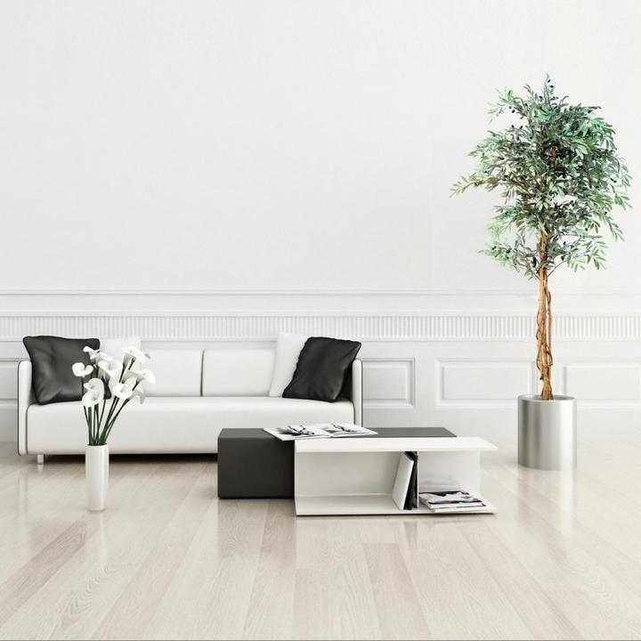 Image du produit Plantasia Olivier (180 cm)