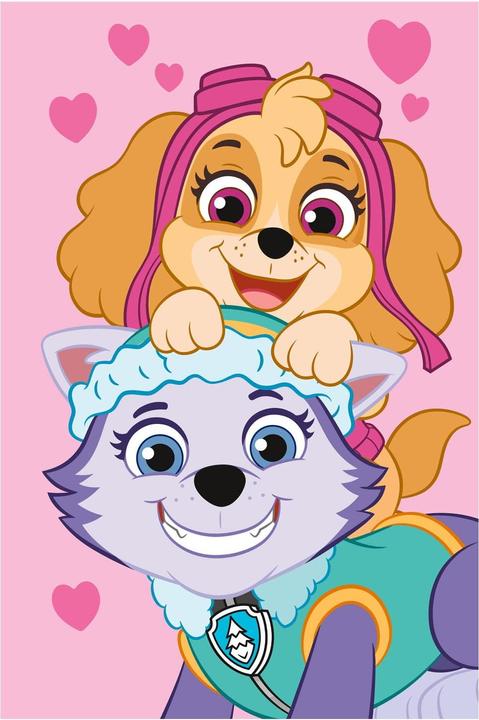 Tinisu Paw Patrol Fleecedecke 100 x 150 cm weiche Decke für Kinder (100 x 150 cm)