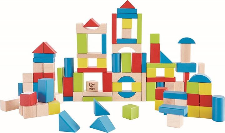 Hape Briques de construction en bois de hêtre 100 pièces