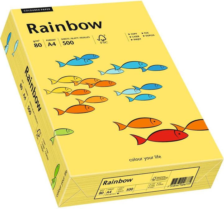 Actual product image Papyrus Rainbow (80 g/m², 500 x, A4)