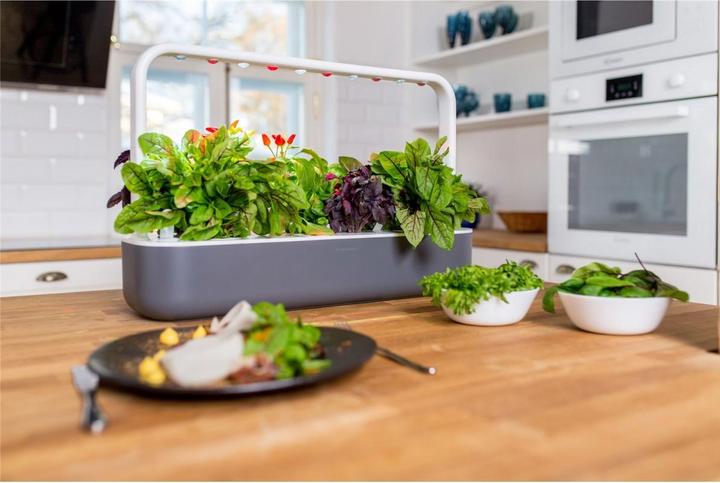 Actual product image Click and Grow Smart Garden 9 (62.50 cm)