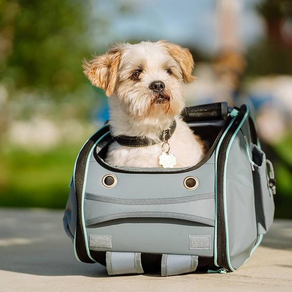 Productafbeelding Nobby Animal Transport Rugzak Nomad, Grijs (Hond, Ademend)