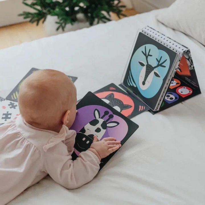 Image du produit DoerKids Miroir de sol Tummy Time + fiches d'apprentissage pour bébé (Allemand, Français, Italien, Anglais)
