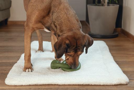 Actual product image Beeztees Sumo Team (Dog chew toy)