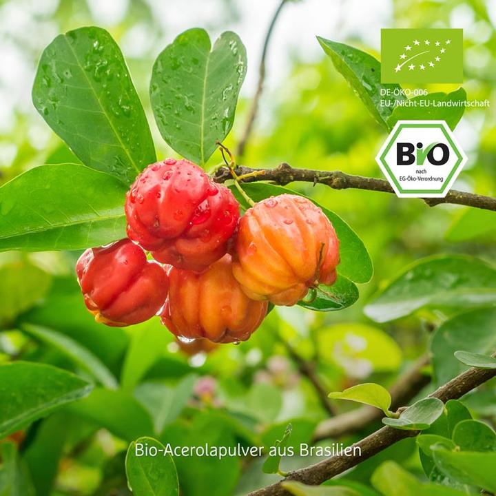 Produktbild Effective Nature Bio Acerola Pulver (1 Stück, Pulver, 200 g)