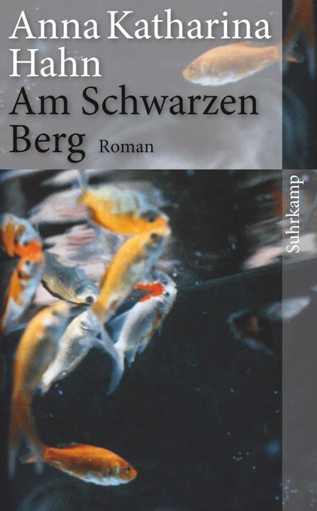 Actual product image Am Schwarzen Berg (German, Anna Katharina Hahn, 2013)