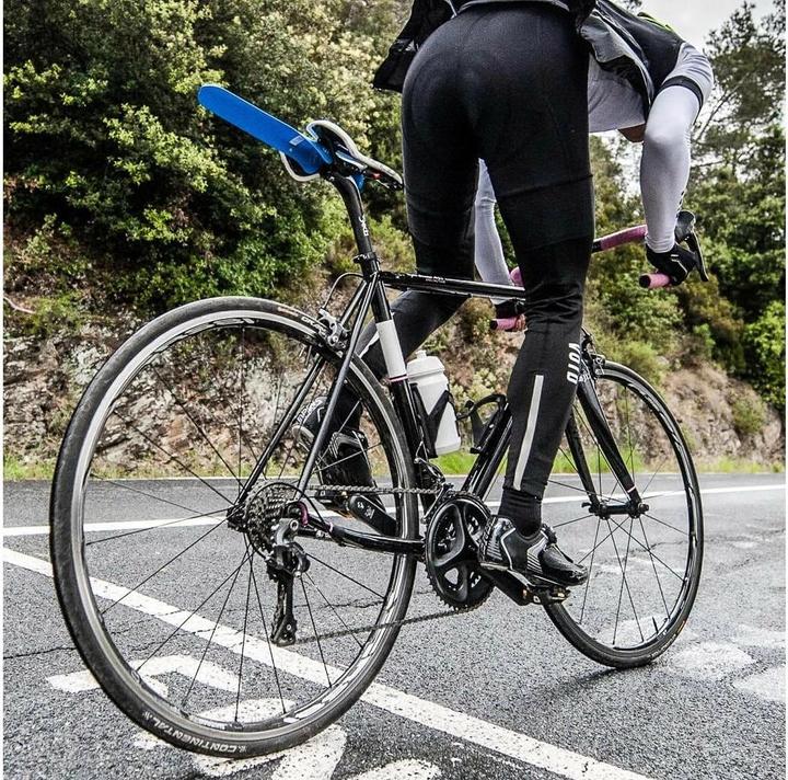 Actual product image Ass Savers Original (Rear mudguard)