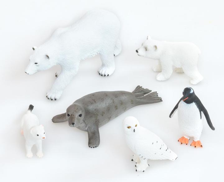 Produktbild Betzold Arktische Tiere, 6-tlg. Set