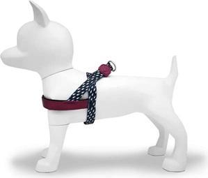 Actual product image MORSO Norwegian Hondentuig Gerecycled Power Flow Zwart (110, Dog, General)