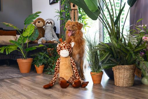 Produktbild Beeztees Hundespielzeug Giraffe XL (Plüschspielzeug Hund)