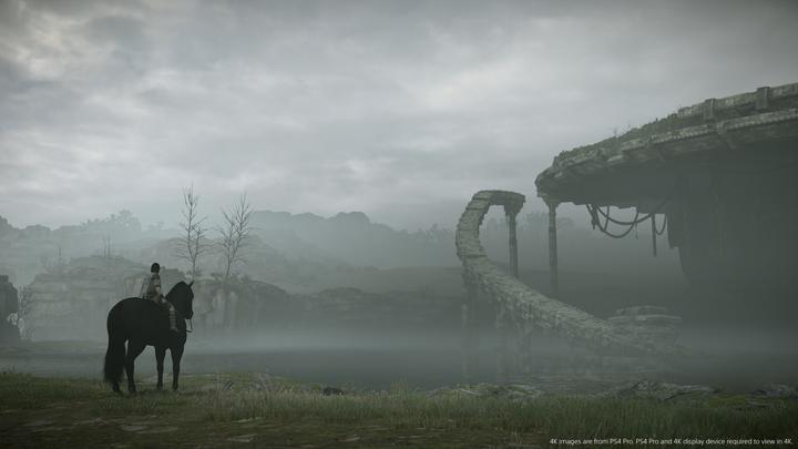 Actual product image Sony Interactive Entertainment Shadow of the Colossus PlayStation 4 (PS4, DE)