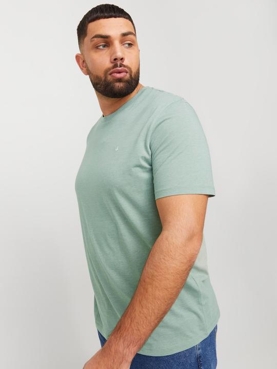 Actual product image Jack & Jones Jjepaulos Tee Ss Crew Neck Noos Pls (4XL)