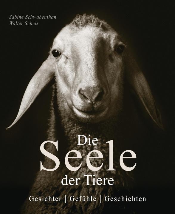 Produktbild Die Seele der Tiere. Gesichter. Gefühle. Geschichten (Deutsch, Sabine Remy-Schwabenthan, 2023)
