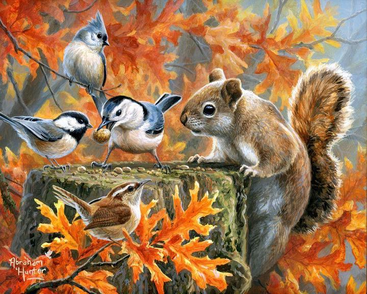 Produktbild Figured'Art Malen nach Zahlen Verspieltes Eichhörnchen auf Keilrahmen gespannt
