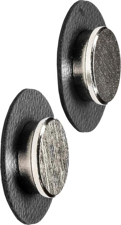 Actual product image Silwy Hook Magnet Pins Smart (1 x)