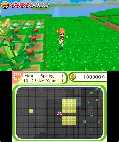 Actual product image Nintendo Harvest Moon: Skytree Village (3DS)