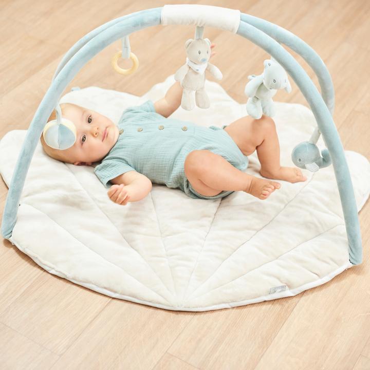 Actual product image Nattou Baby gymnastics
