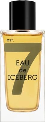 Actual product image Iceberg Eau de Amber Man Eau de Toilette 100ml (Eau de toilette, 100 ml)