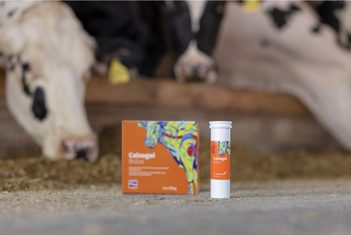 Produktbild Magni Kerbl Calzogol Bolus, Kalzium Bolus 4 Bolus/Packung
