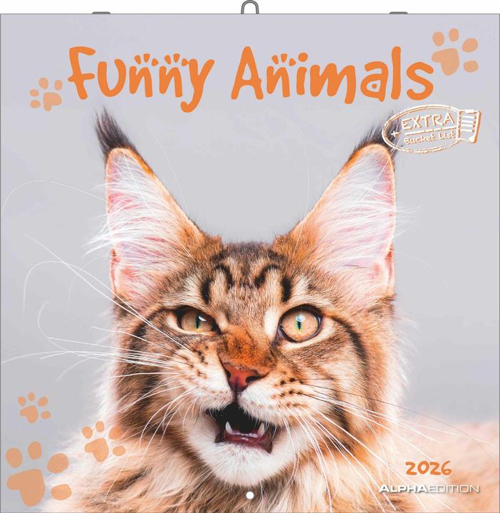 Actual product image Alpha Edition Funny Animals 2026 - Wand-Kalender - Broschüren-Kalender - 30x30 - 30x60 geöffnet (30 x 30 cm, Hardcover, German, Dutch, Spanish, English, Italian, French)
