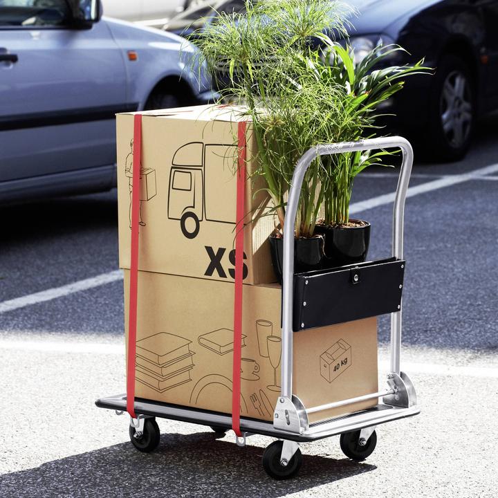 Produktbild Meister Plattformwagen (150 kg)