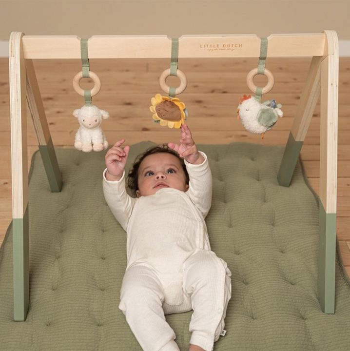 Actual product image Little Dutch Play trapeze