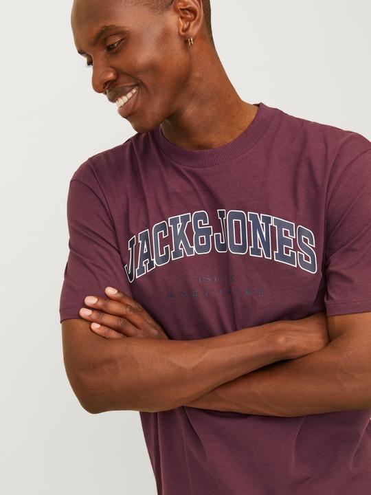 Immagine prodotto Jack & Jones Jjecaleb Varsity Tee Ss O-Neck Noos (S)