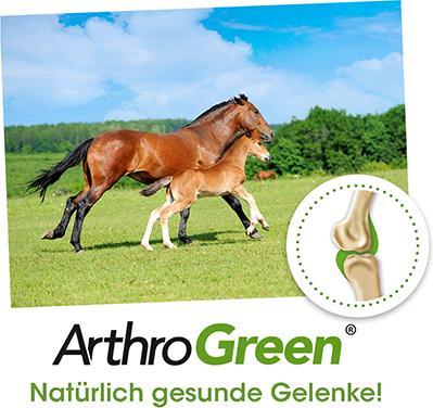 Produktbild cdVet ArthroGreen Horse, 700 g PUL (1 x, 700 g)