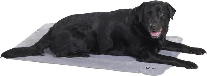 Actual product image Siena Home Fleece blanket (Dog)