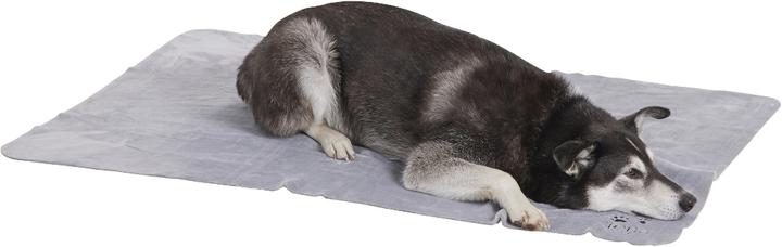 Actual product image Siena Home Fleece blanket (Dog)