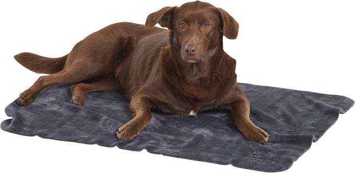 Actual product image Siena Home Fleece blanket (Dog)