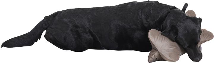 Actual product image Siena Home Edition (45 x 45 cm)