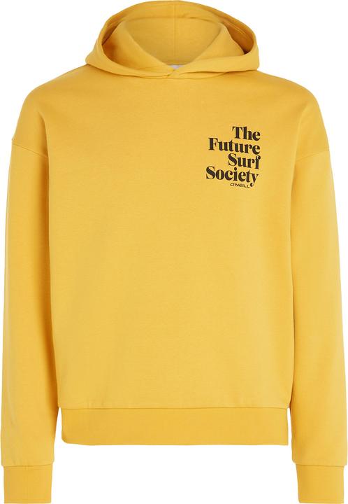 O'Neill Future Surf Society Hoodie (S)