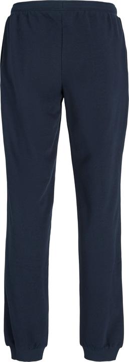 Actual product image Jack & Jones JPSTELOGO SWEATPANTS 2COL 25/26 NOOS JNR (152)