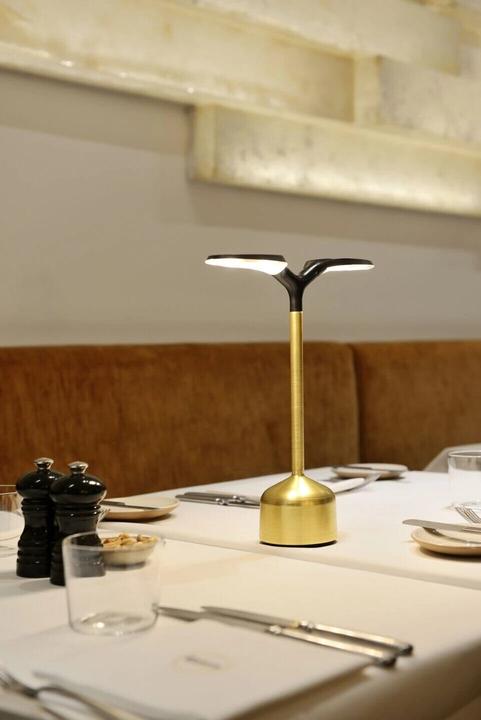 Image du produit ImagiLights Grand Cru Lampe sans fil, télécommande et chargeur non inclus (100 lm)