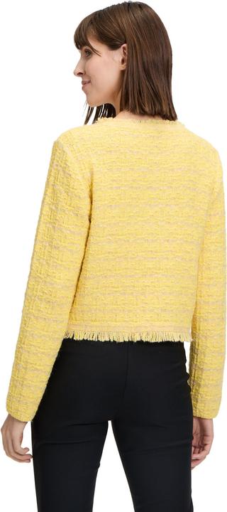 Image du produit Betty Barclay Cardigan en tricot avec franges (42)