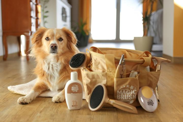 Actual product image Magic Brush Soft plucking brush for dogs (Dog)